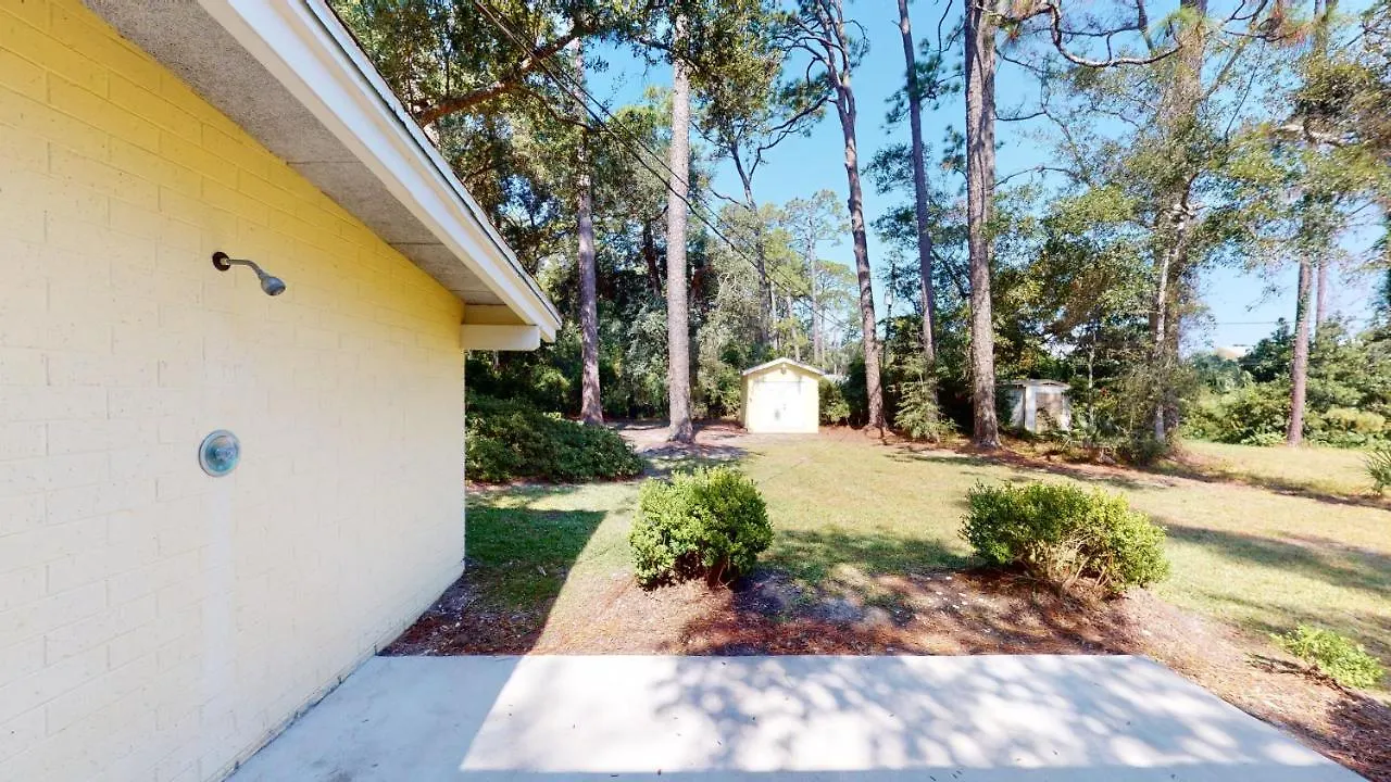Mellow Yellow * Jekyll Island