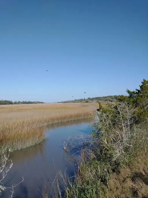 House/ Kellys On The Coast /king Bed Jekyll Island