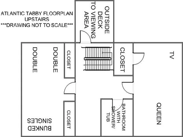 Atlantic Tabby Holiday home *