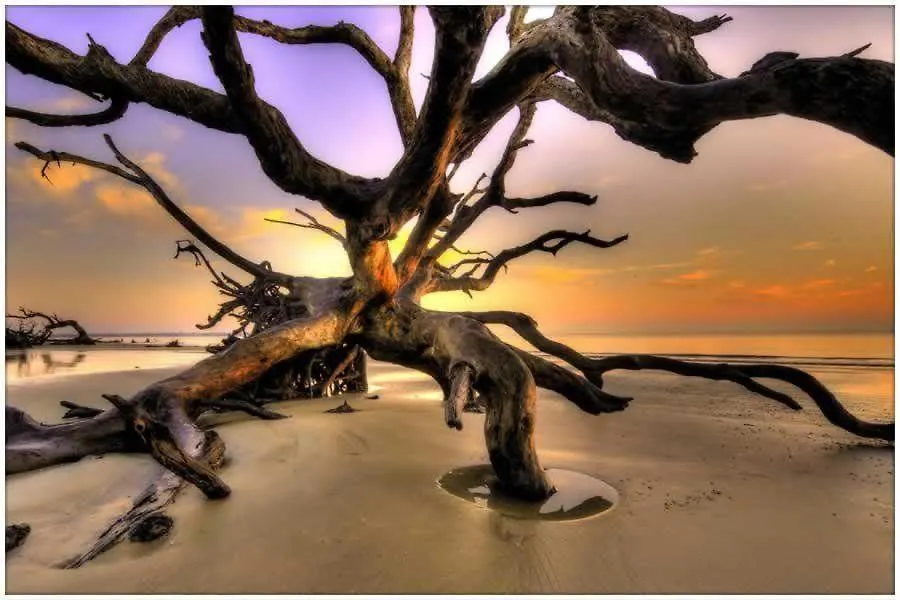 379 Jekyll Island