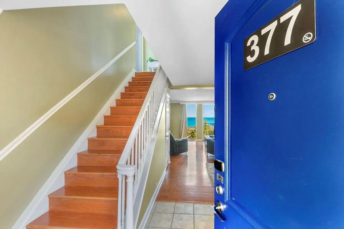 377 Turtle * Jekyll Island