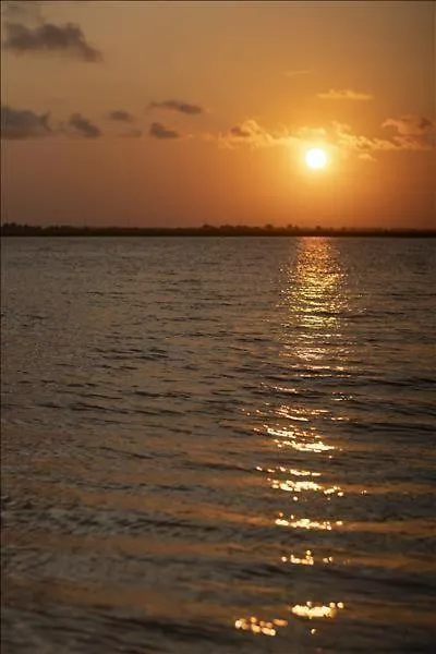 455 Jekyll Island