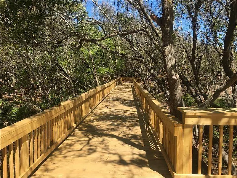 Ocean Oaks 23 * ג'קיל איילנד