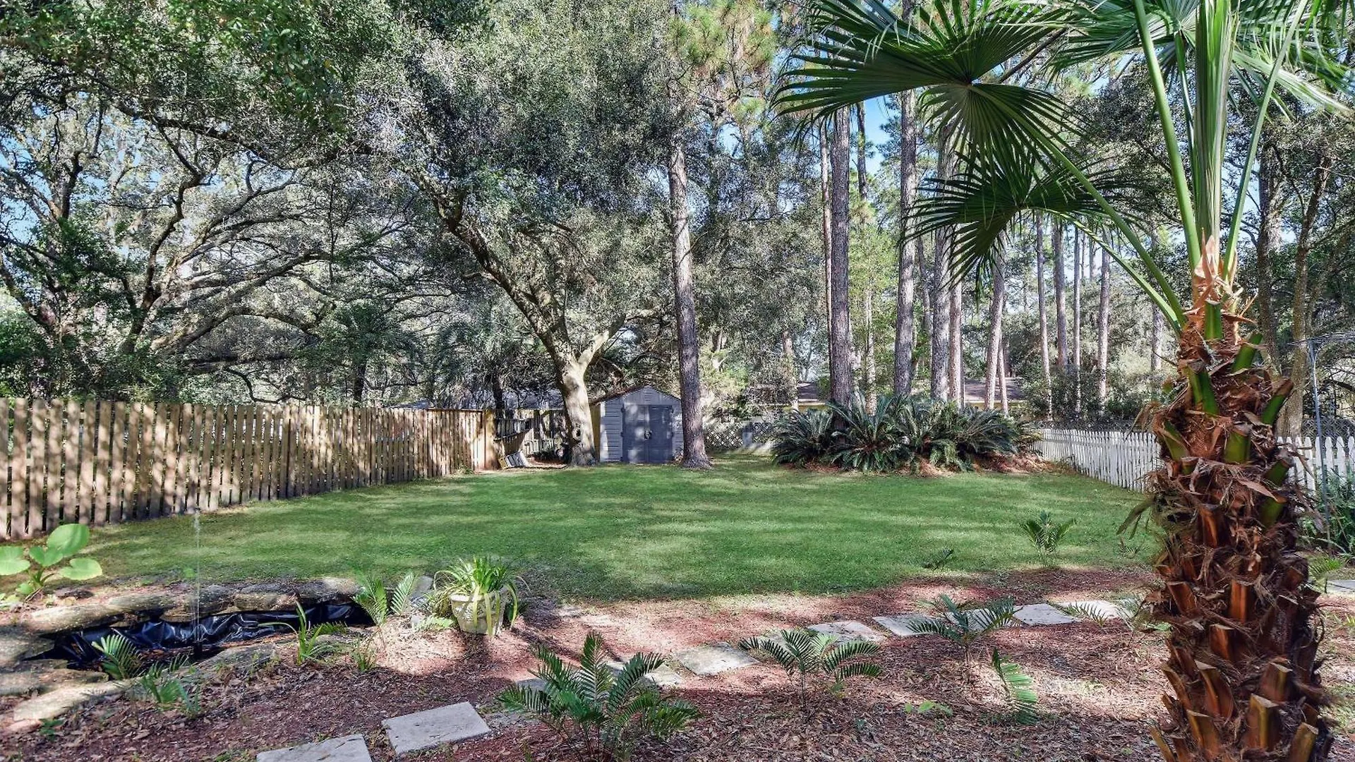 Pine Grove * Jekyll Island
