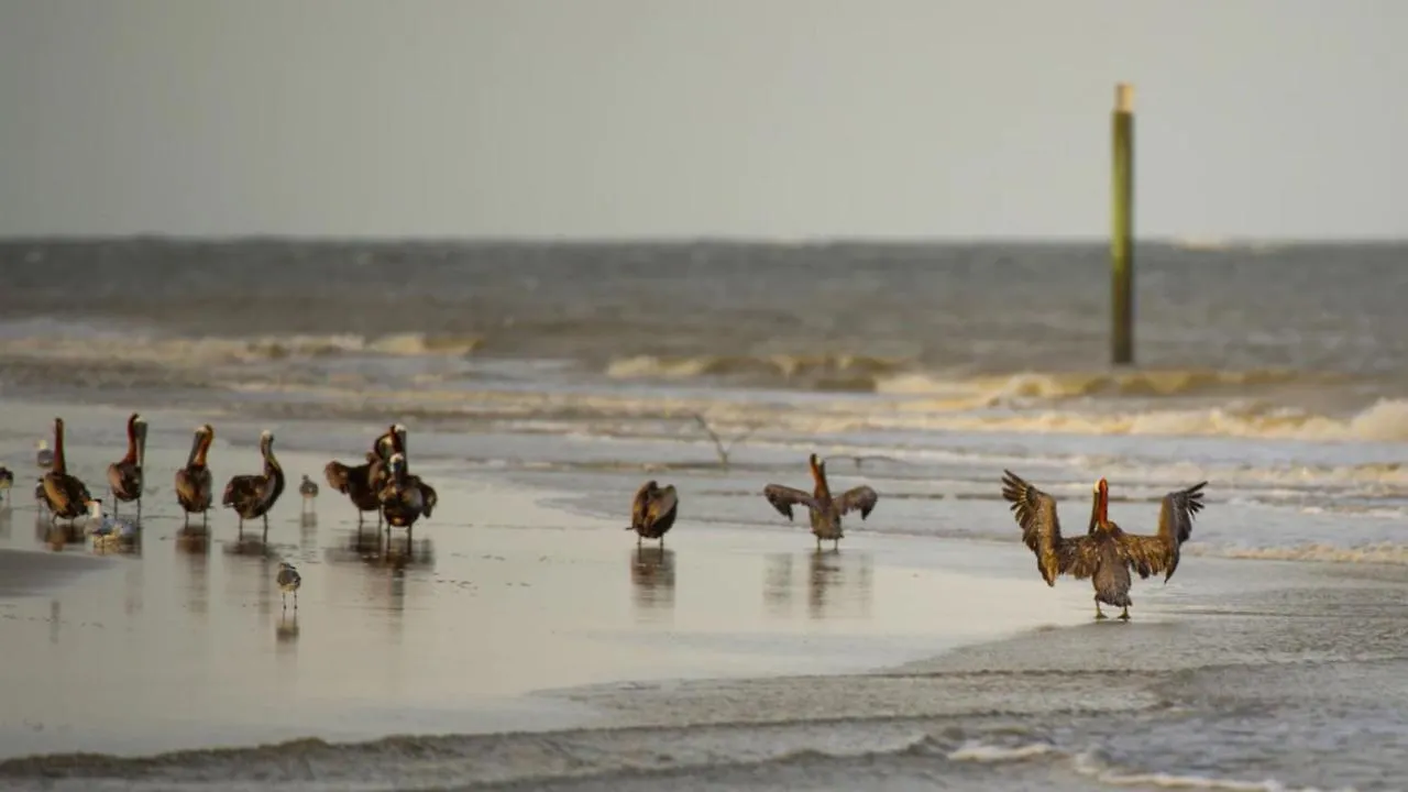 By Ihg 3* Jekyll Island